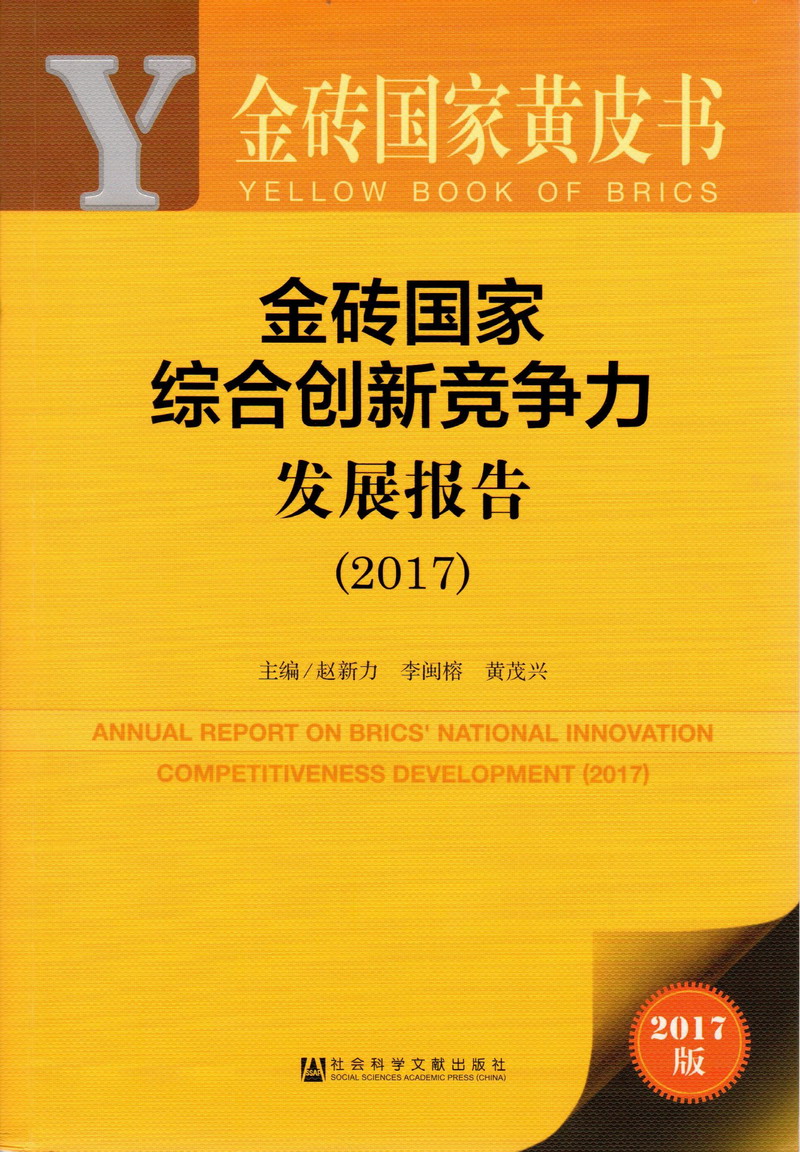 大鸡把日逼视频金砖国家综合创新竞争力发展报告（2017）